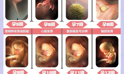 麦当劳过年营业时间表-麦当劳过年营业时间表-麦当劳今年玩具,中国2016麦当劳过年期间有什么玩具网站